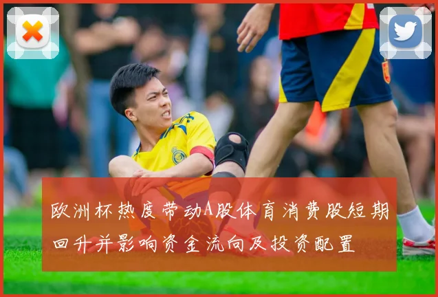 欧洲杯热度带动A股体育消费股短期回升并影响资金流向及投资配置