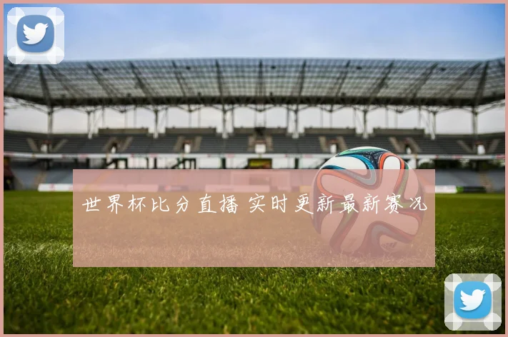 世界杯比分直播 实时更新最新赛况