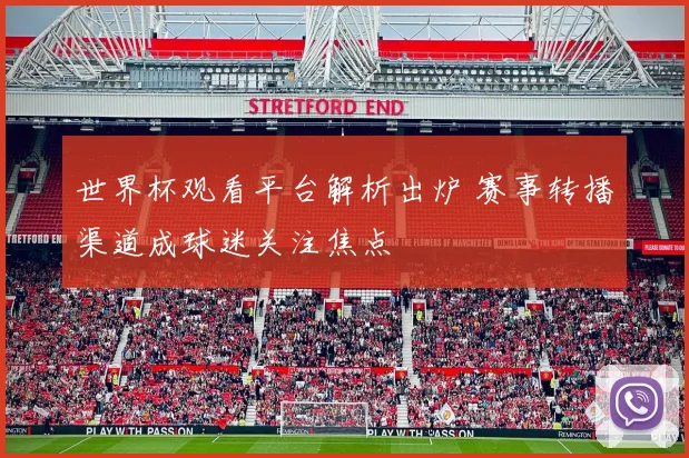 世界杯观看平台解析出炉 赛事转播渠道成球迷关注焦点