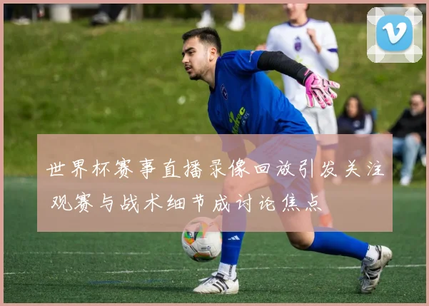 世界杯赛事直播录像回放引发关注 观赛与战术细节成讨论焦点
